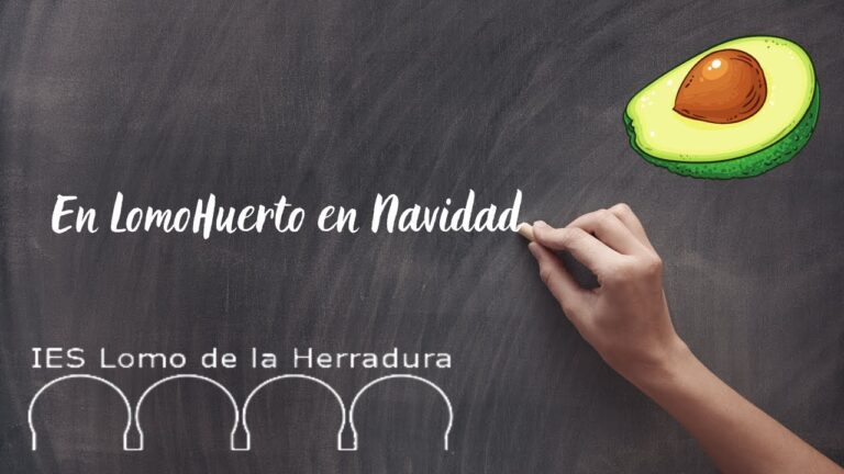 Actividades Familiares en Mon&oacute;var: Diversi&oacute;n para Todos