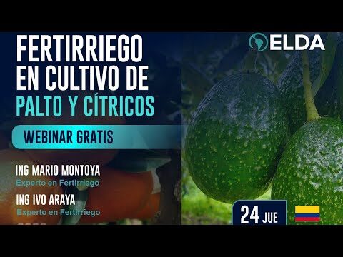 Cursos de Programaci&oacute;n en Elda: D&oacute;nde Encontrarlos