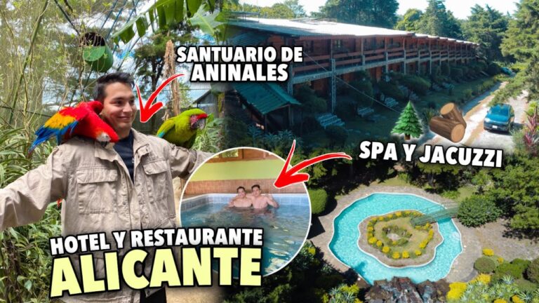Hoteles con Vistas Espectaculares en Elda
