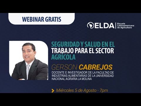 Seguridad en Elda: An&aacute;lisis y Perspectivas